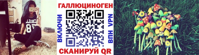купить   Галич  Псилоцибиновые грибы ЛСД 