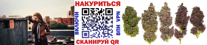 Марихуана VHQ Галич